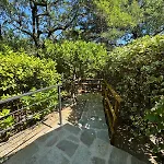 Donati 皮加罗